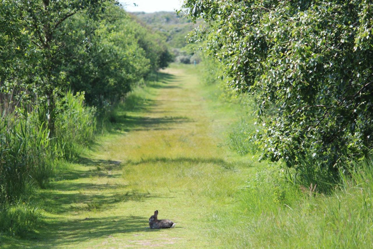 Seevilla Wietjes Whg 7 Baltrum Exteriör bild