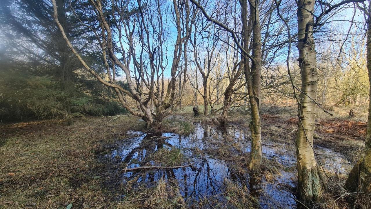 Seevilla Wietjes Whg 7 Baltrum Exteriör bild